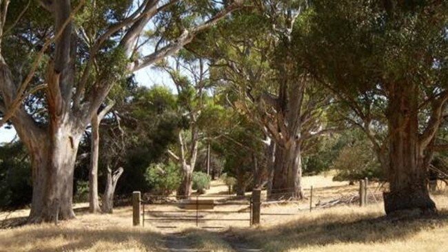 Glenthorne Farm at O'Halloran Hill could become Glenthorne National Park. Picture: Alan Burns