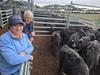 Feedlots lead to ‘unbelievable’ results at Ballarat