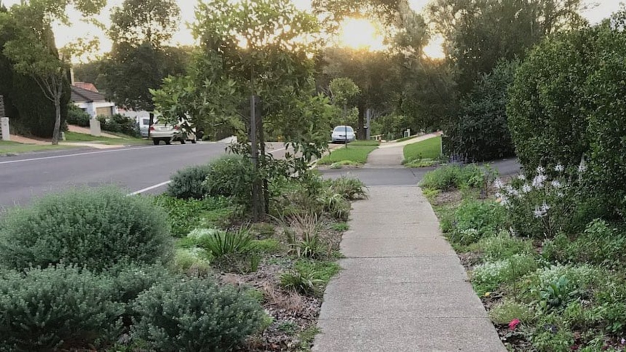 Gayle Dallaston created this verge garden outside her Brisbane home. Picture: The Shady Lane Project