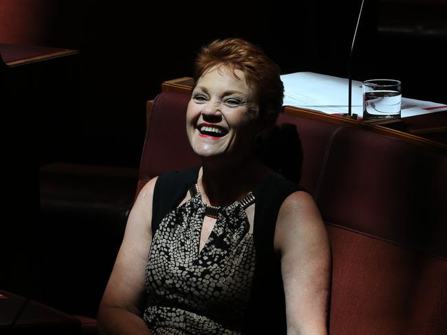 Senator Pauline Hanson during Senate Question Time in the Senate in Parliament House in Canberra. Picture Gary Ramage