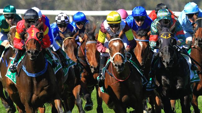 Racing in New South Wales on Tuesday is at Tamworth.
