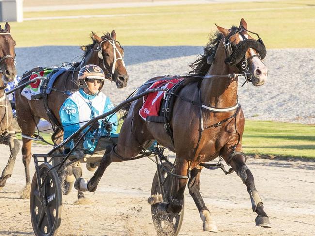 Race 4: Melton Park, Saturday 1-2-2025 Hip Pocket Castlemaine 4yo Bonanza (Group 3)(No Nr.) Winner: Miki To Success (1) Trainer: Emma Stewart; Driver: Jackie Barker Race Distance: 1,720 metres, Mile Rate: 1.50.0 photography: Stuart McCormick