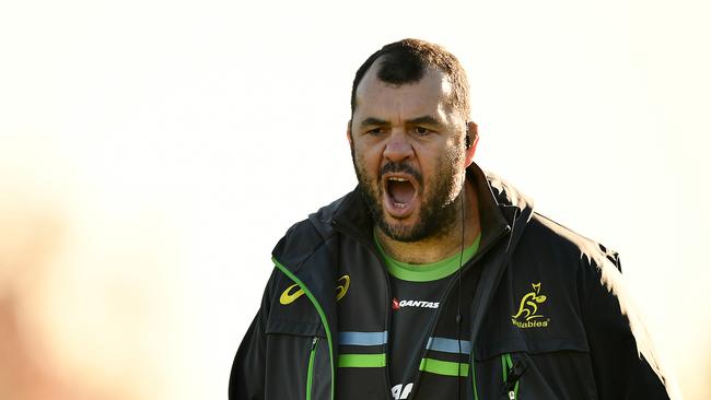 Michael Cheika is an angry man.