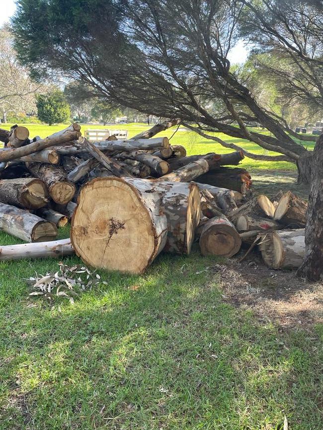 Some of the axed trees. Picture: Supplied