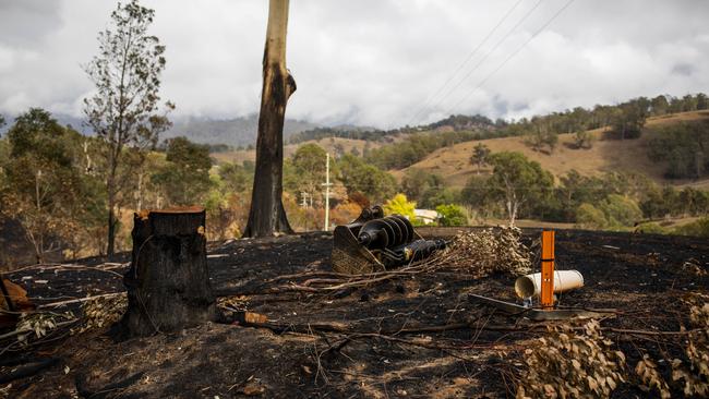 Trees damaged by fire have been felled along the Princes Highway in Brogo, NSW