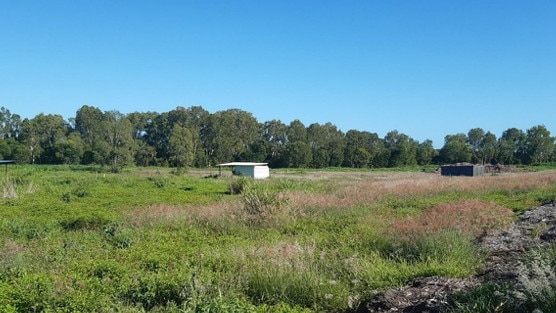 The site of the proposed development on Machans Beach Access Rd.