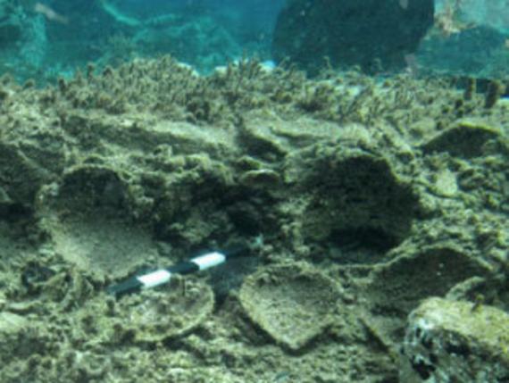 Ancient settlement found underwater