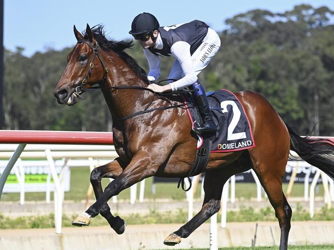 Zealously can maintain his unbeaten record as a gelding at Canterbury. Picture: Bradley Photos