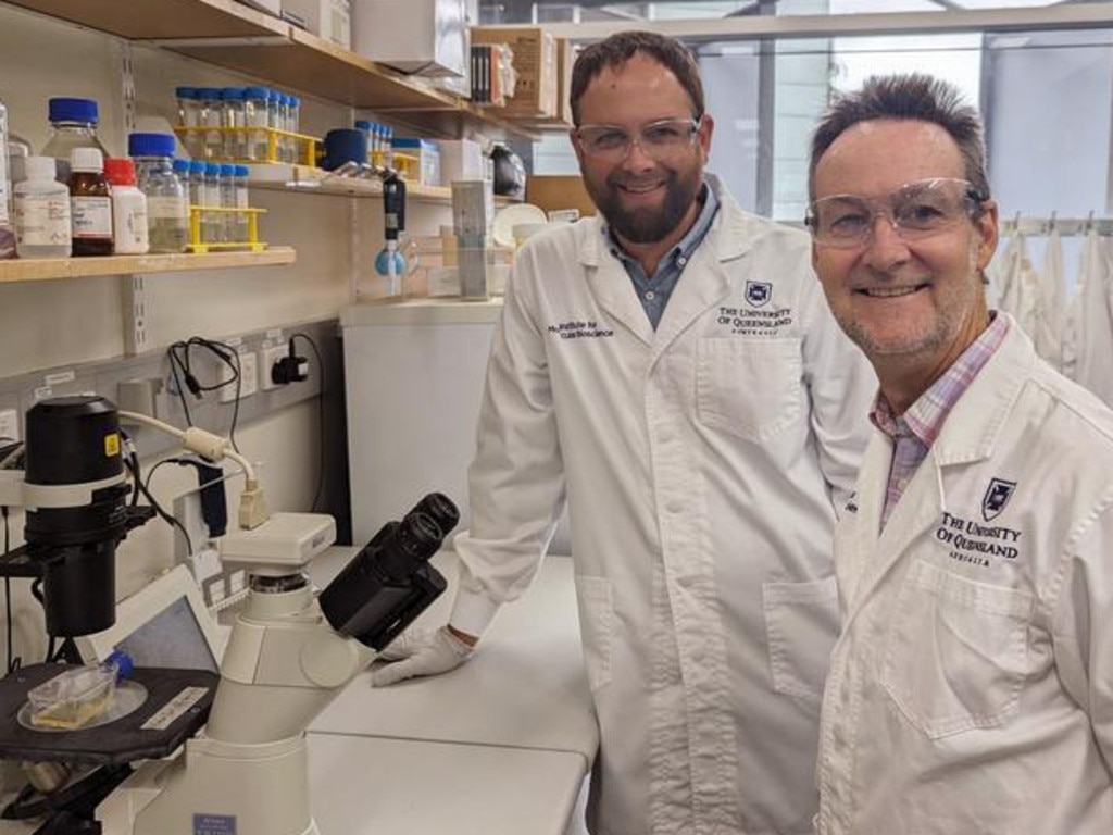 Assoc Prof Nathan Palpant, left, and Prof Glenn King from the University of Queensland team undertaking the world-first research on funnel-web spider venom. Picture: supplied