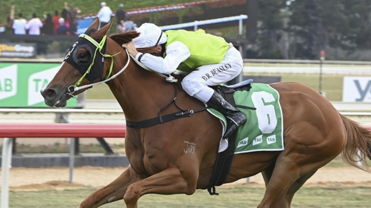 Another One is chasing a first-up win in the Goulburn Cup on Sunday. Picture: Bradley Photos