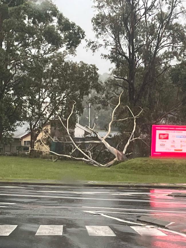 Tropical Cyclone Alfred impact on Griffith Uni Colleges Knights rugby club. Picture: Supplied