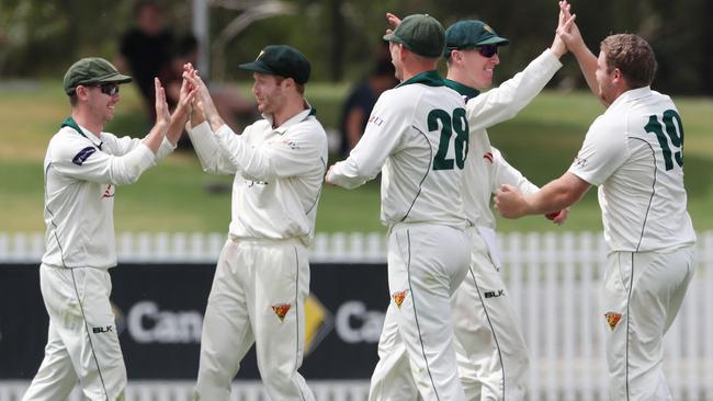 Tasmanian players after getting out Victorian batsman Marcus Harris for 94.