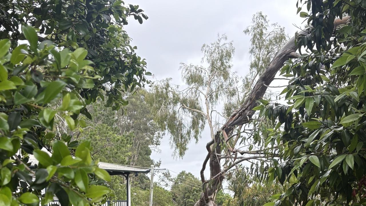 A tree crushes a house in Coolum