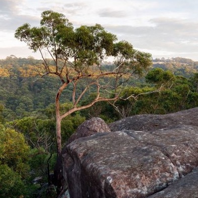 A view over the Lizard Rock land holding. Picture: Metropolitan Local Aboriginal Land Council