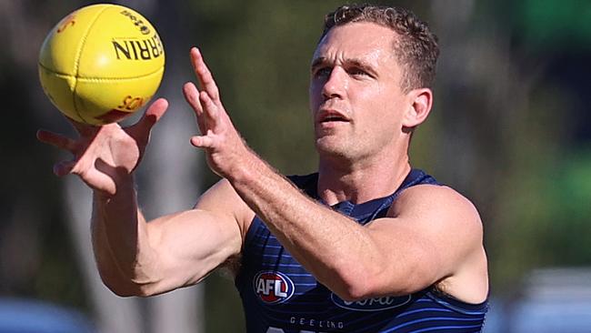 When will Joel Selwood return? Picture: Michael Klein