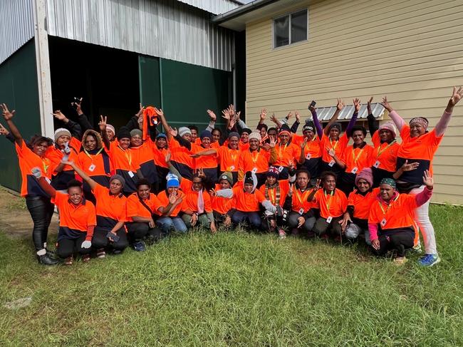 Papuan PALM scheme workers. Picture: PALM Scheme