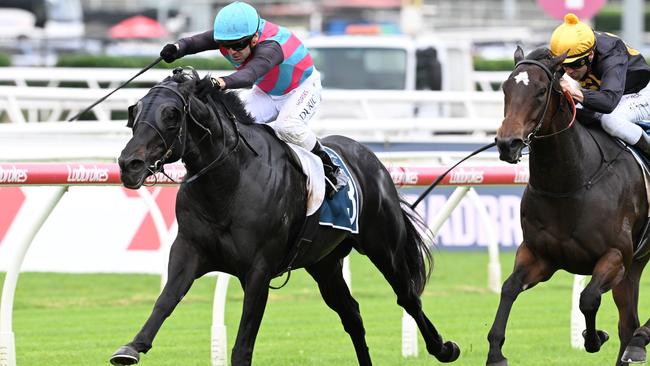 Antino was a long-time Stradbroke favourite through the winter. Picture: Grant Peters / Trackside Photography