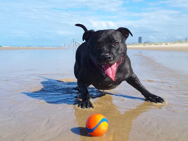 Jaynie Masters loves her little girl Blanxy, 2. Jaynie says she is “pretty much the happiest girl in the world and loves to go to the beach”.