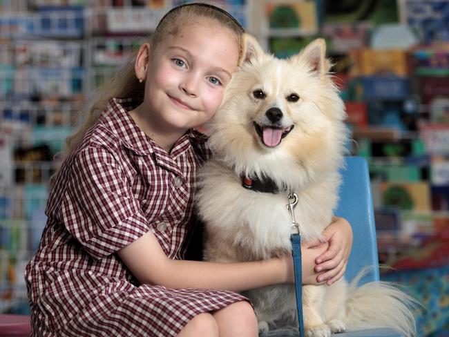 Student Lexee, who didn’t want to go to school for nine months last year. Pictured with therapy dog Max. Picture: David Geraghty