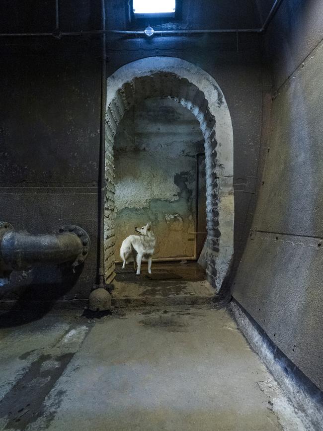 One of Ms Martin’s past photos in the Darwin WWII tunnels.