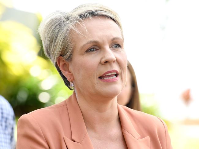 Minister for the Environment and Water Tanya Plibersek blamed the Coalition. Picture: Shae Beplate.