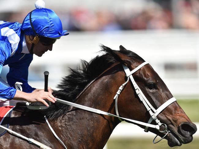 Winx has saluted in 22 consecutives races in a streak that kicked off in May 2015.