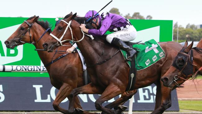 Montserrat (inside) is trialling well and can score a first-up win. Picture: Grant Guy