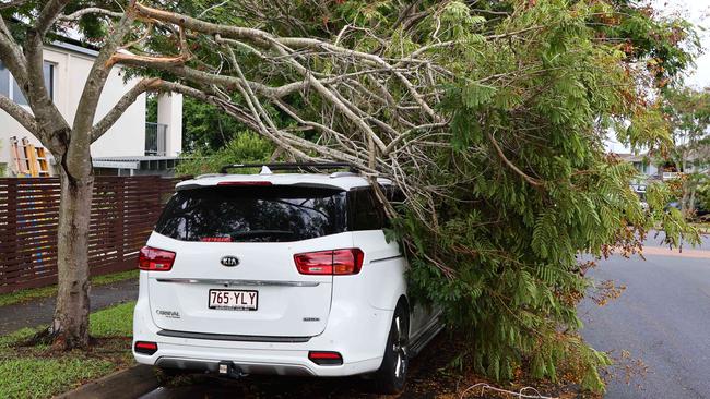 Fallen trees during Cyclone Alfred has caused chaos for the electricity network. Picture: Tertius Pickard