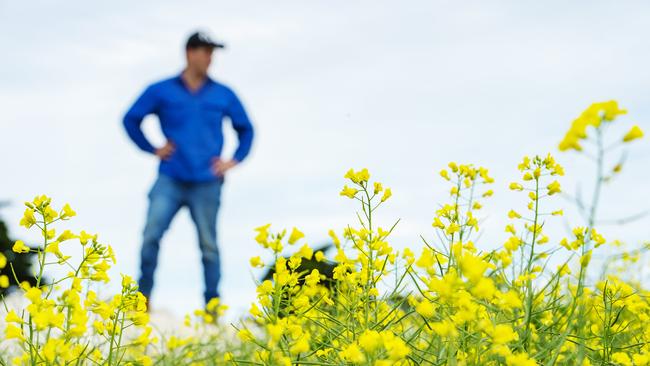 The value of cropping land varies markedly by shire. Picture: Zoe Phillips