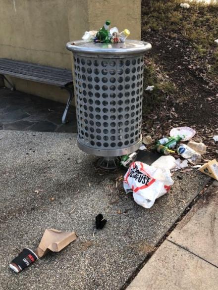 A frustrated ratepayer takes a snap of a bin which clearly needs to be emptied.