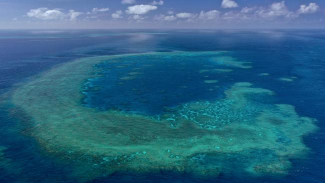 Great Barrier Reef’s lesser-known reefs for snorkeling and diving ...