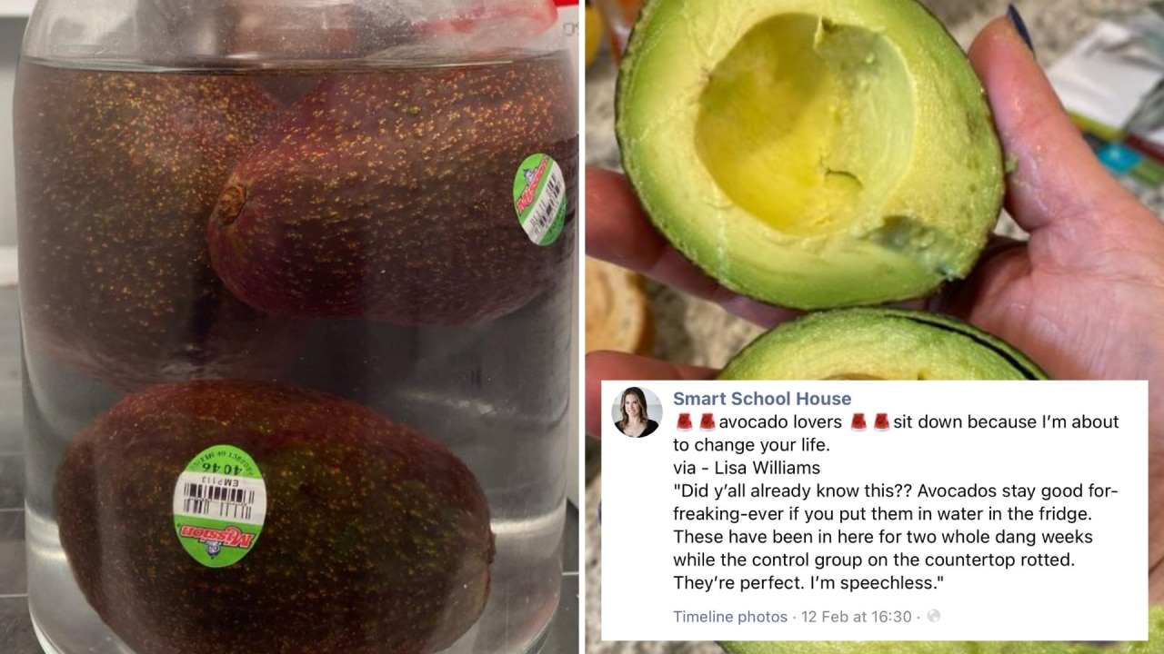 The Avocado Hugger Keeps Avocados Fresh 