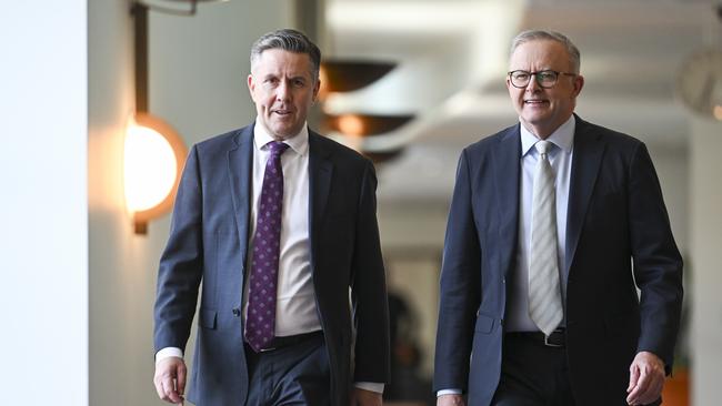 Prime Minister Anthony Albanese and Health Minister Mark Butler. Picture: Martin Ollman/NewsWire