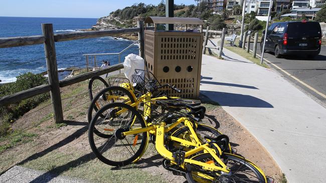 This was a common site in Bondi earlier this year. Pic John Grainger