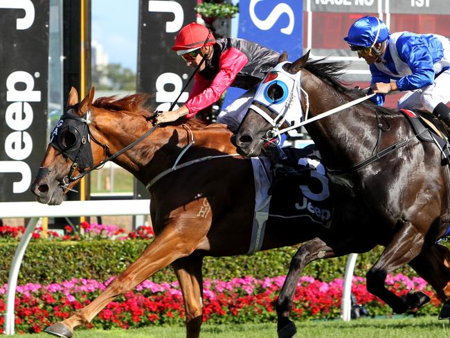 Spurtonic claims his first win since October 2013 with success in the Magic Millions Cup. Picture: Mike Batterham
