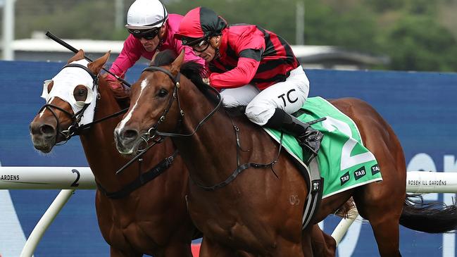 Tim Clark gets Anode home in the Tapp-Craig at Rosehill on October 12. Picture: Jeremy Ng / Getty Images