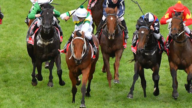 Wise Hero (centre) salutes at Caulfield last year. Picture: Getty Images