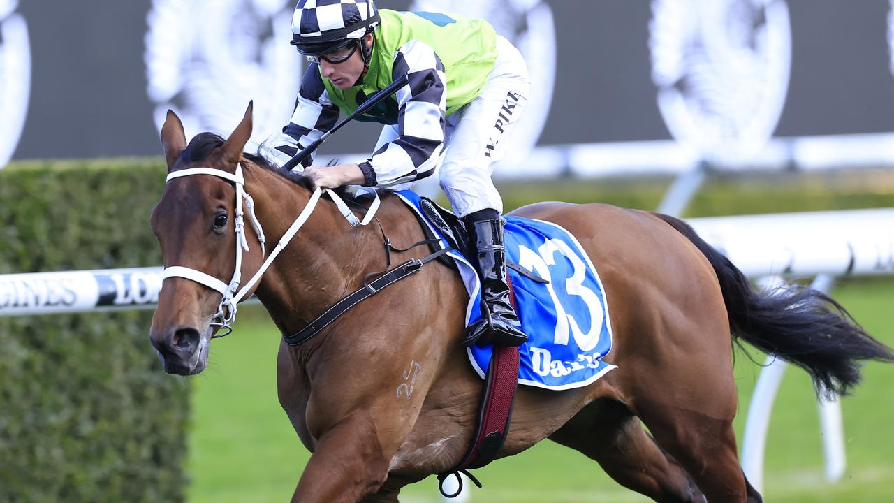 Phar Lap Stakes favourite Zougotcha has a strong Widden heritage tracing back nearly 100 years. Picture: Getty Images