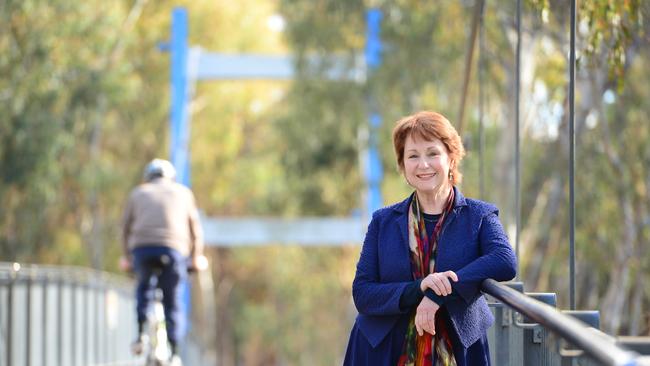 Independent MP for Shepparton Suzanna Sheed. Picture: ZOE PHILLIPS