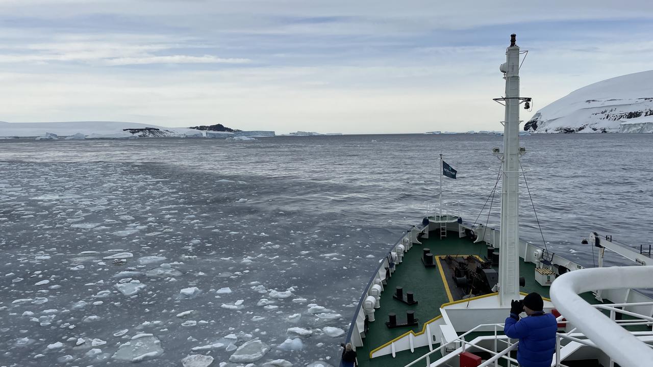 Humpback whales have been spotted in Antarctica's western Weddell Sea for the first time, indicating some of the effects of climate change. Photo: UTAS/Angus Henderson