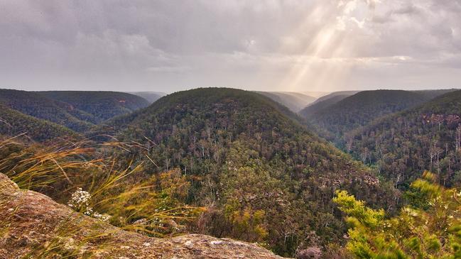 The Buxton Plateau feature of the proposed Great Burragorang Valley Walk. Picture: Petar B