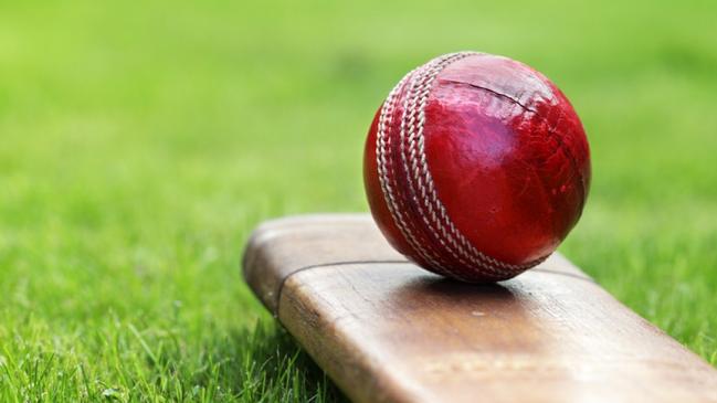 Premier Cricket at risk of producing ‘flat-track bullies’