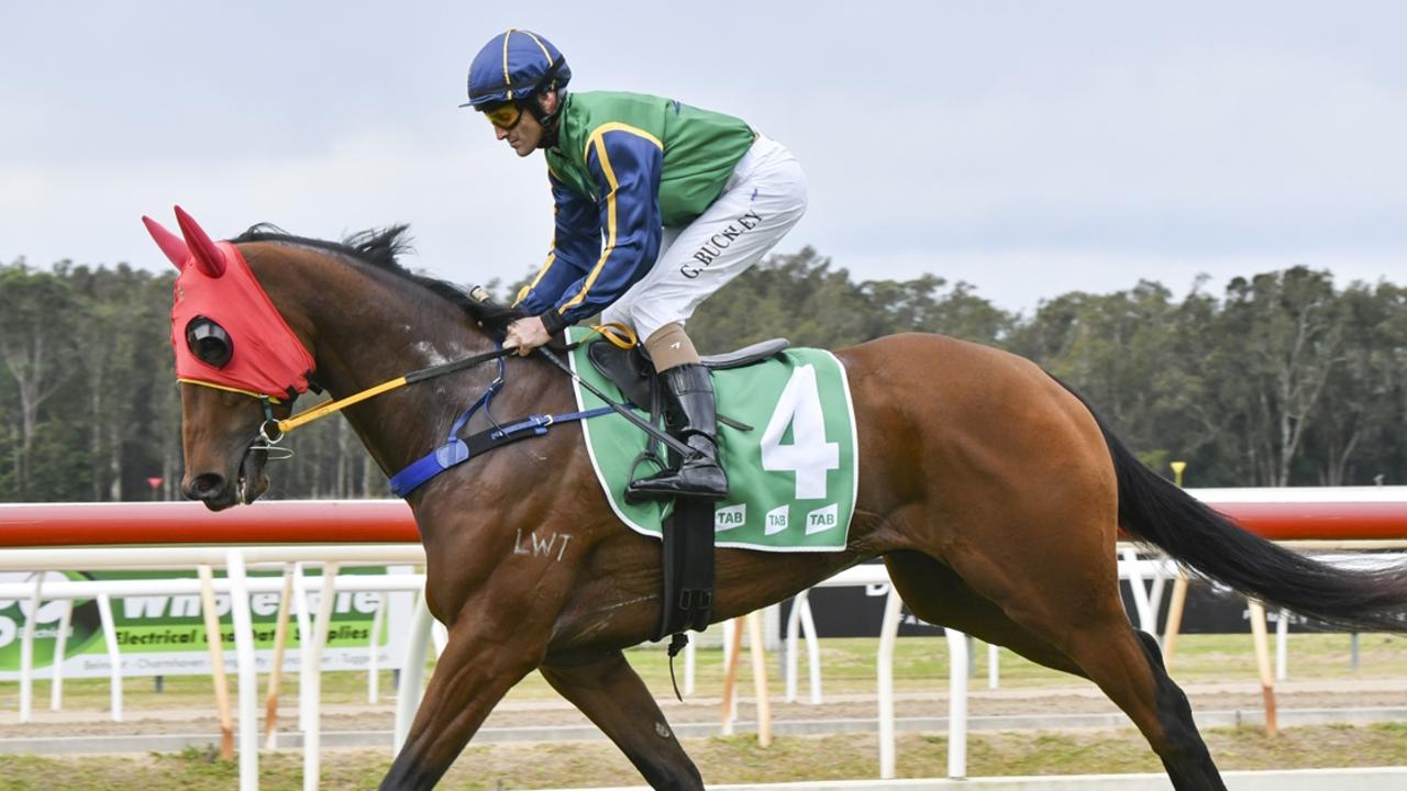 Backlash can break through for his first win at Wellington. Picture: Bradley Photos