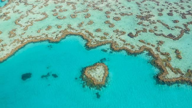 Aerial view of Heart Reef, Great Barrier Reef. Picture: Brooke Miles