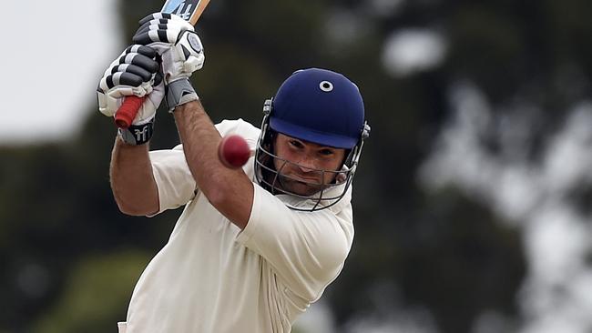 Peter Petricola batting for Melbourne. He’s been doing it for 20 years. Picture: Andy Brownbill