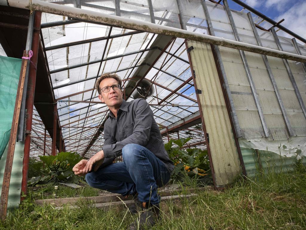 Valley Fresh Farm owner Rob Mather surveys the storm damage to his glasshouses at Huonville. Picture: Chris Kidd