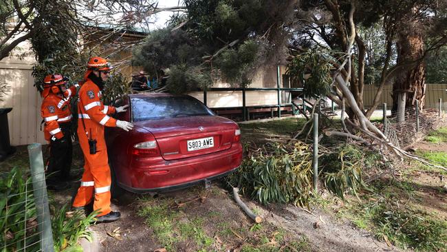 SES volunteers remove a tree from atop Clive Littlejohns’ Hoden Commodore. Picture: Russell Millard Photography