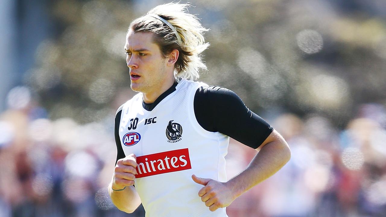 Darcy Moore looks set to stay at Collingwood. (Photo by Michael Dodge/Getty Images)