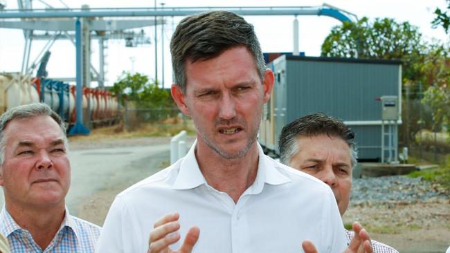 Queensland’s Transport Minister Mark Bailey says he supports a trial of dogs on ferries. Picture: File picture