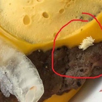 Fly eggs found in McDonalds burger.